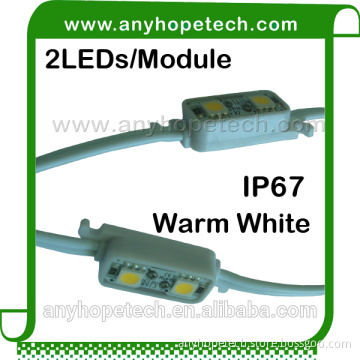 Hot Selling 2leds/pcs single color rohs 5050 smd module led